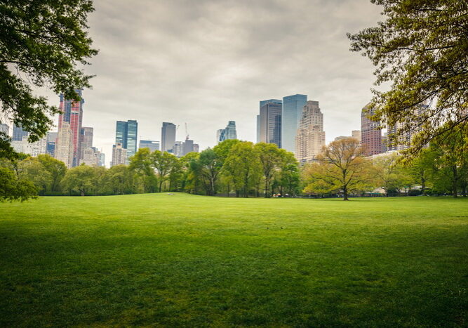 Central park at rainy day, New York City